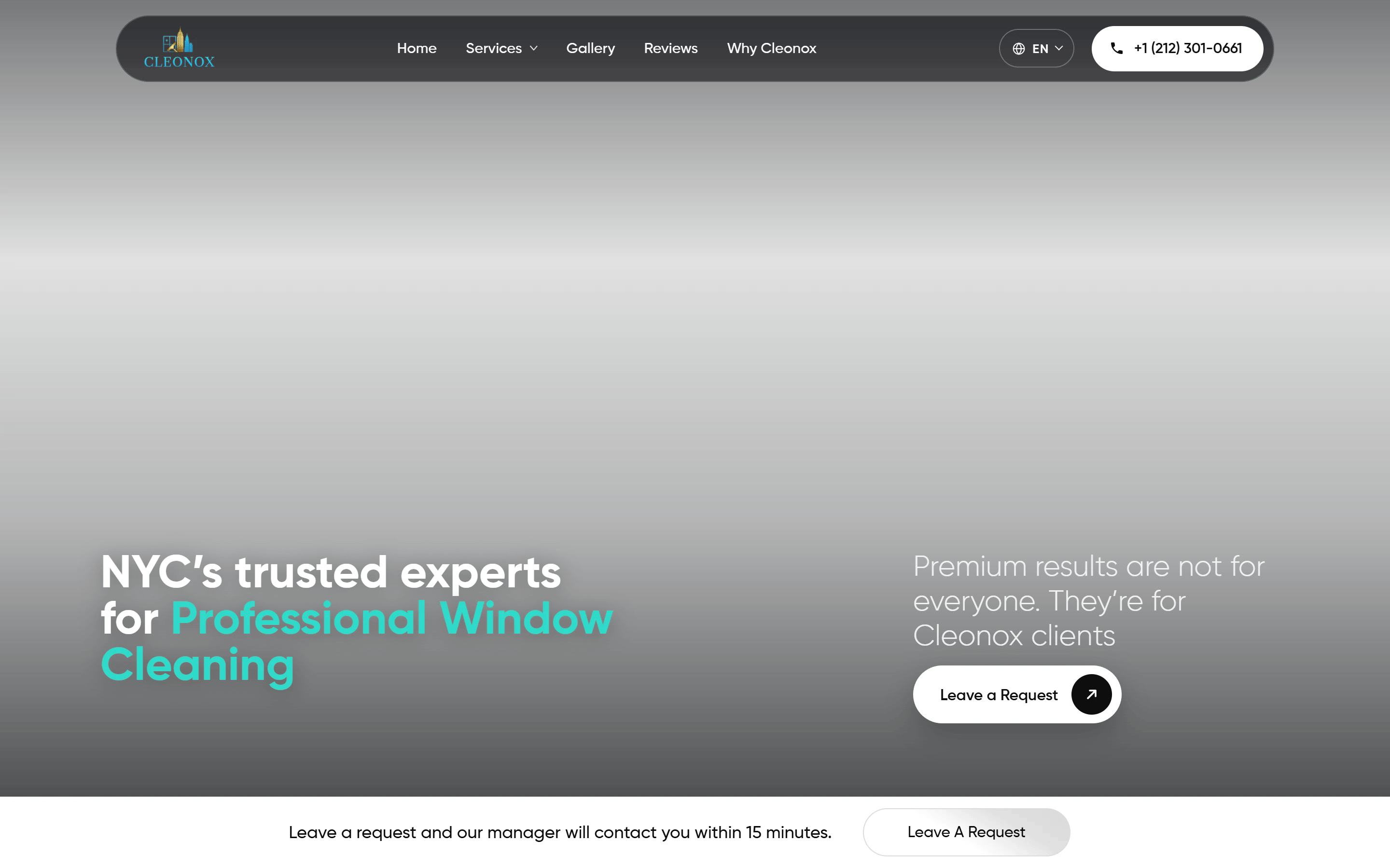 Cleonox — лендинг миття вікон